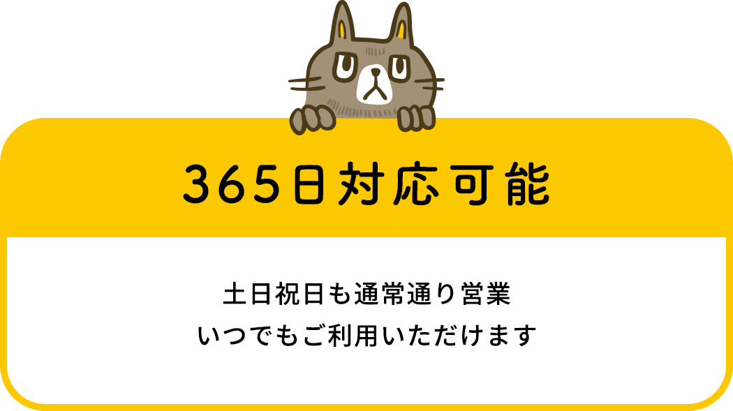 365日対応可能